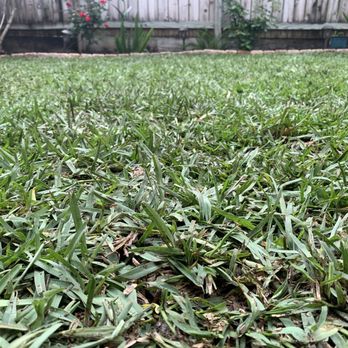 Camron's Precision Landscaping Multi Services - Quality sod! - Landscaping Near Me