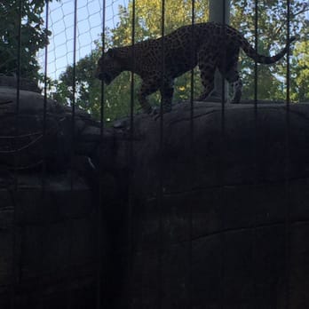 Memphis Zoo - Zoos Near Me - Memphis, Tennessee Memphis Zoo - Zoos Near Me - Memphis, Tennessee