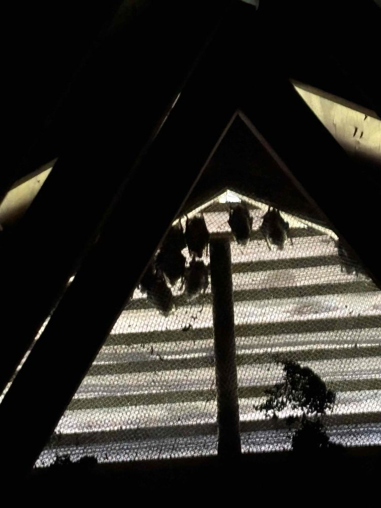 Slide of Worley's Home Services