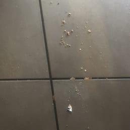 This is condition of the 1610 Sycamore View location earlier this morning. I hope they heed my warnings. This is condition of the 1610 Sycamore View location earlier this morning. I hope they heed my warnings.