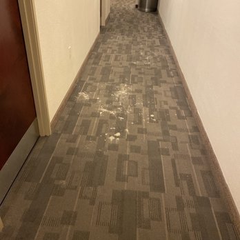 Gold Leaf Hotel - Filthy and disgusting halls - Hotels Near Me - Dewey Beach, Delaware