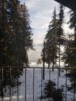 Hill's Resort by null