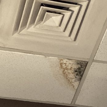 Schlotzsky's - Black Mold...deadly!! - Delis Near Me - Dalton, Georgia Schlotzsky's - Black Mold...deadly!! - Delis Near Me - Dalton, Georgia