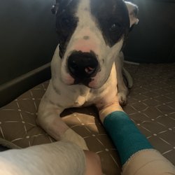 Appleby Sand Road Animal Clinic