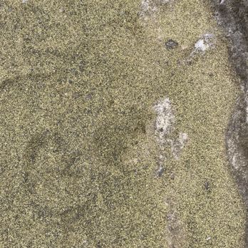 Green Sand Beach - Green Sand - Beaches Near Me