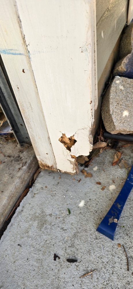 Slide of Sharps Maintenance Service