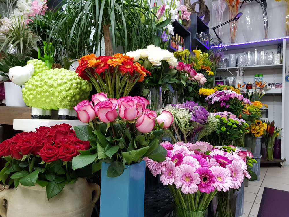 BLÜTENPARADIES ÜNLÜ Mörfelder Landstr. 235, Frankfurt am Main, Hessen