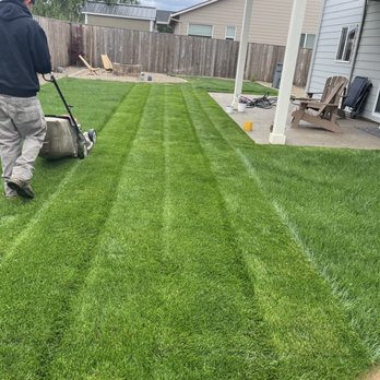Hernández Lawn Service - Need grass maintenance? We are the company for it. Nice straight lines. Give us a call at 5419717913 - Lawn Services Near Me - Albany, Oregon Hernández Lawn Service - Need grass maintenance? We are the company for it. Nice straight lines. Give us a call at 5419717913 - Lawn Services Near Me - Albany, Oregon