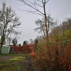 Caravanpark Laubach