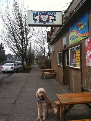 Mousetrap Tavern by null