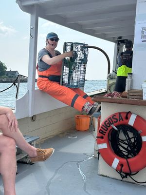 Rugosa Lobster Tours by null