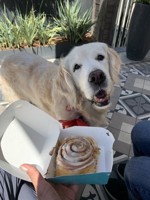 Cinnabon by null