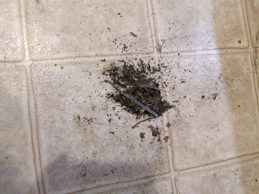 Diversified Heating & Cooling Logo