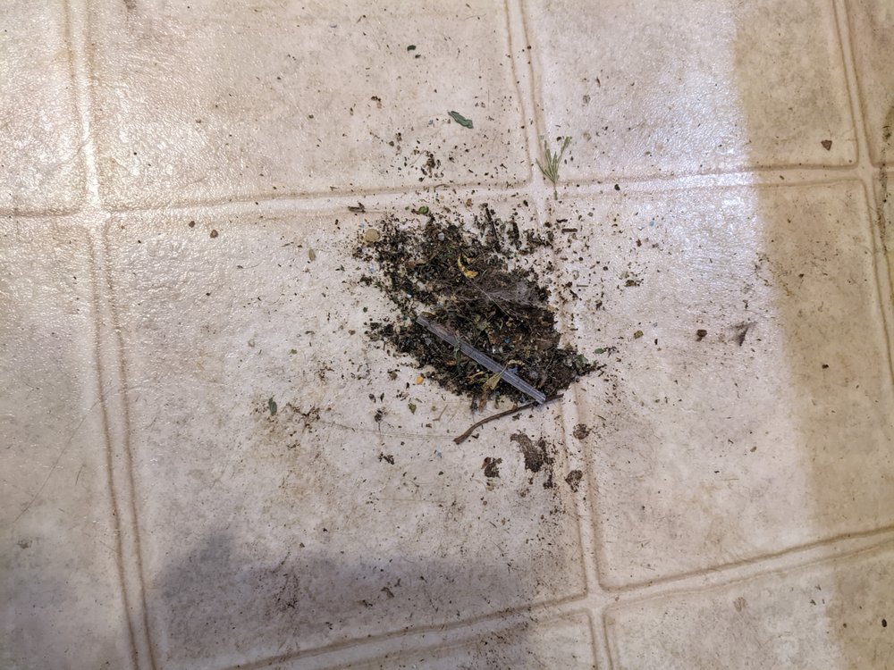 Slide of Diversified Heating & Cooling