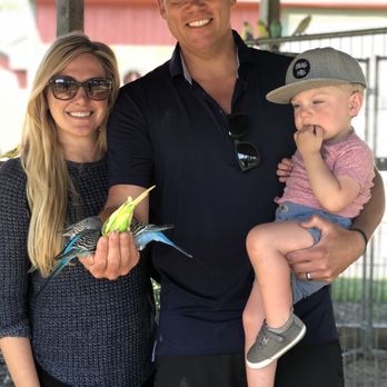 Carousel Acres - Feeding the birds in the bird sanctuary - Attraction Farms Near Me - South Lyon, Michigan