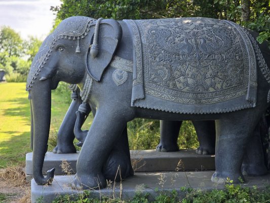 Victor's Way by null