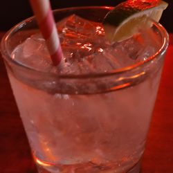 Outer Limits Lounge - Gin and soda. They make a good drink.