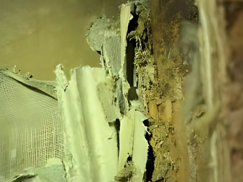 BNF Consulting - mold inspector in Lincolndale, NY