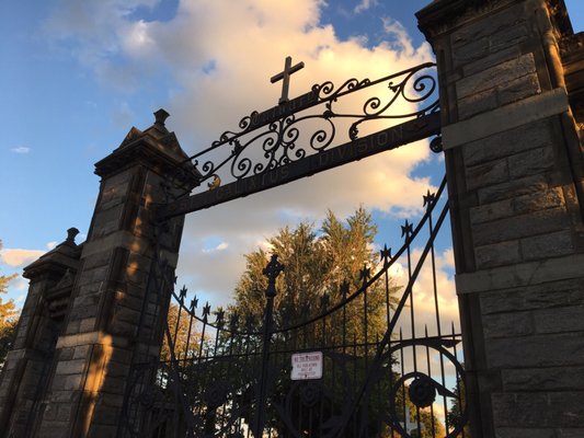 Calvary Cemetery by null