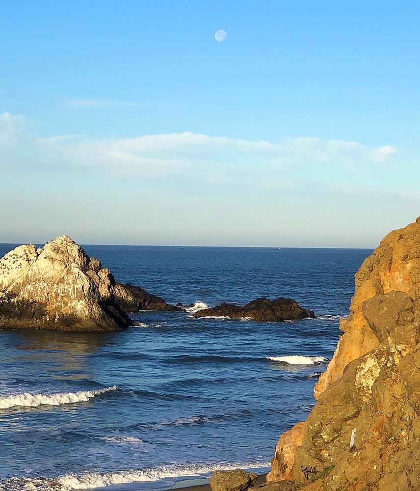 KELLY’S COVE 27 Photos 600 Great Hwy, San Francisco, California