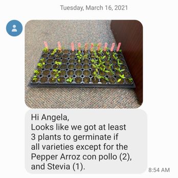 Van wingerden Greenhouses - Plants germinated from my seeds. I don't have the plants or the seeds. - Nurseries & Gardening Near Me - Blaine, Washington Van wingerden Greenhouses - Plants germinated from my seeds. I don't have the plants or the seeds. - Nurseries & Gardening Near Me - Blaine, Washington