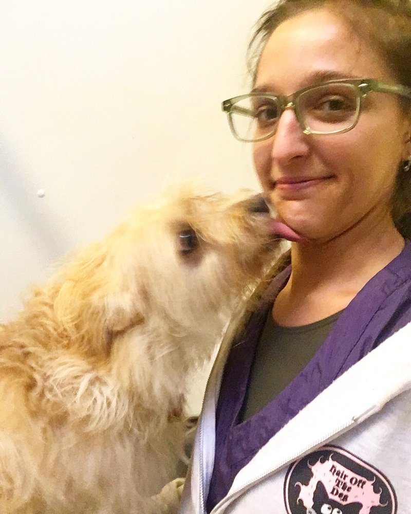 GRATEFUL DOG GROOMING Updated October 2024 32 Photos 2808 Aina