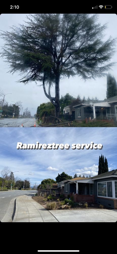 Slide of Ramirez Tree Service 