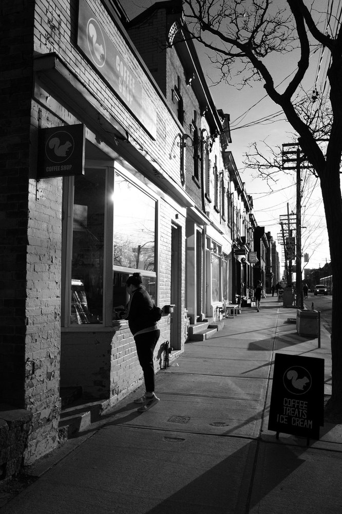 WHITE SQUIRREL COFFEE SHOP 66 Photos & 109 Reviews 907 Queen Street