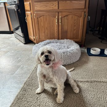 Purely Paws Spa - Pet Groomers Near Me - Salem, Wisconsin
