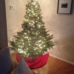 Wolgast Christmas Tree Farm