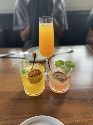 Rosemarino D'Italia I Alexandria by null