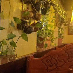 El Patron - Decor, lots of real plants
