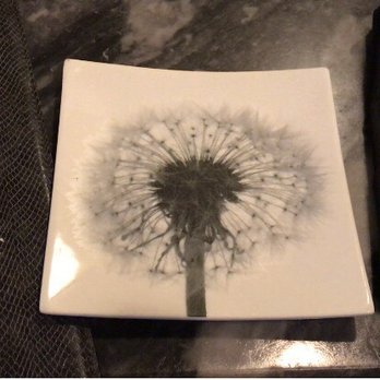 Pierpoint Restaurant - a plate with a dandelion on it - New American Near Me - Baltimore, Maryland
