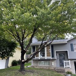 Cornhusker Tree Service - Tree