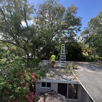 The Tree Barber - Tree Services Near Me The Tree Barber - Tree Services Near Me