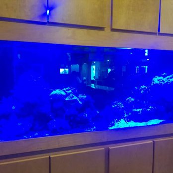 Angelo's Steak & Pasta - Large Fish Tank - Italian Near Me - Myrtle Beach, South Carolina