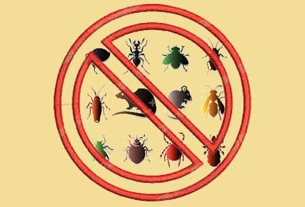 General Exterminating