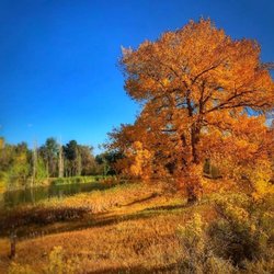 Two Ponds National Wildlife Refuge