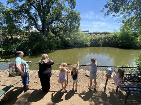 Amador Flower Farm by null