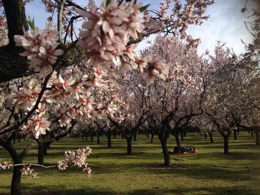 Parque de la Quinta de los Molinos by null