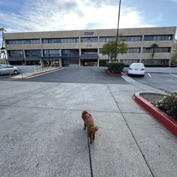 Spine And Brain Institute Of San Diego