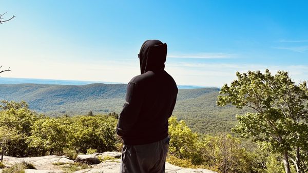 Bear Mountain by null