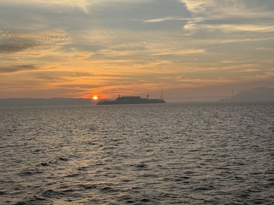 City Cruises by null