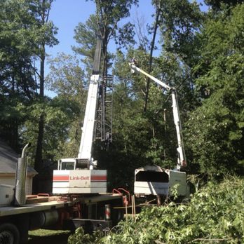 Mark Tuttle Tree Service - Tree Services Near Me - Richmond, Virginia Mark Tuttle Tree Service - Tree Services Near Me - Richmond, Virginia