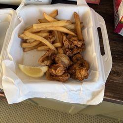 Captain's Choice