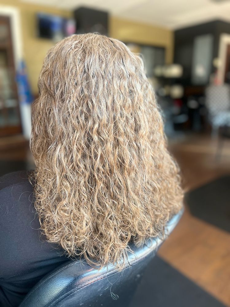 WM Hair Designs Logo