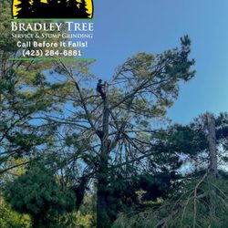 Bradley Tree Service & Excavating