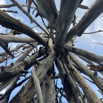 Soul Growth Network - Soul Growth Network Retreat, inside the stick made tee-pee outside. - Yoga Near Me - Denver, Colorado