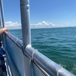 Adventure Cruises - The boat and ocean