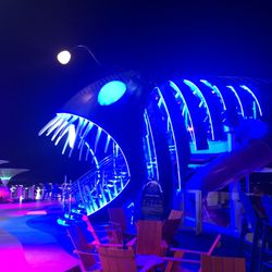 Wonder Of The Seas inaugural sailing
